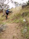 Climbing Sniggle