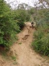 Jindy Gully