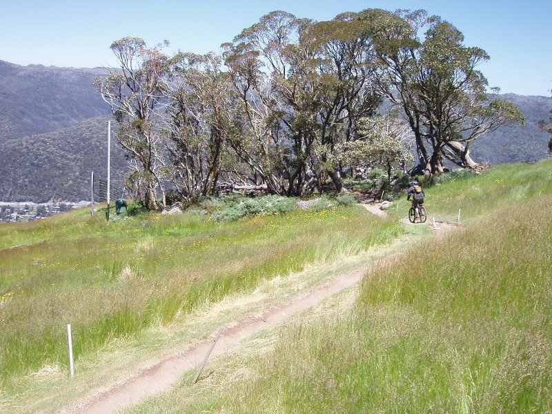 Top of Cannonball