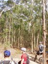 Ourimbah Group