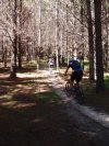 Sweet Lisdale Trail