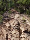 Great Northern Road