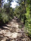 Rough Downhills