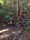 In the Gully