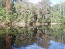 Dam Reflections