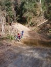 Creek Crossing
