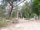 Brieses Road Trail Head