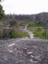 Brisbane Water Rocks