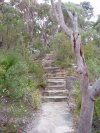 Step Shortcut