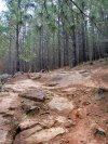 Few Rocks