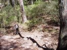 Cox's Alternate Junction