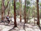 Cox's Junction