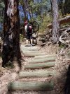 Lockyers Steps