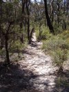 Lockyers Sniggle