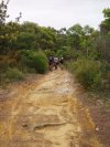 Menai Firetrail