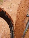 Maxxis Mud