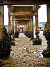 Dangerous wharf