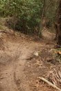 The DH section after the new bridge