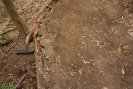 More uses for concrete blocks - drainage
