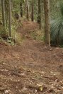 Run out of the berm