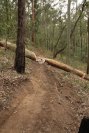 Log Roll Over towards the bottom of the new section