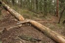 Chainsaw Artwork
