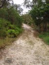 Barton Crescent Firetrail