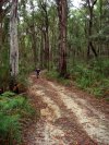 Rutted Double Track