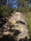 Winmalee Tech