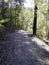 Winmalee Firetrail
