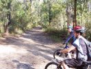 Winmalee Junction