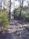 Winmalee Climbing Brian