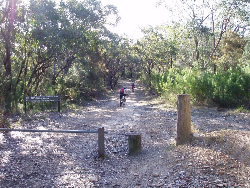 Winmalee Trail Head