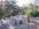 Winmalee Trail Head