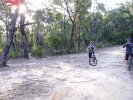 Blue Gum/Shaws Junction