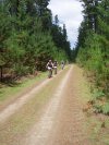 Penrose Trails
