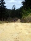 Penrose Trails