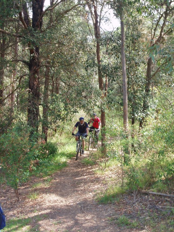 Smooth Single Track