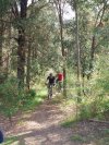 Smooth Single Track