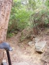 Technical Single Track