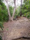 Hunts Creek Clearing