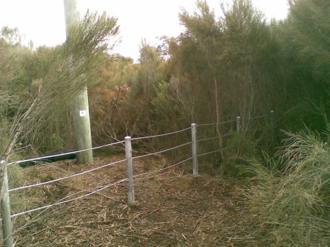 Bantry Bay Fence