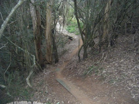 Another creek crossing