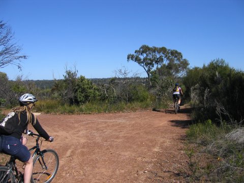 Single Track