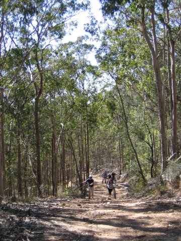 Victims of Demtel Hill