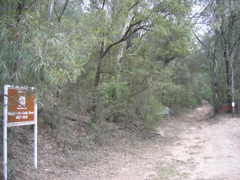 Bottom of Shepherd's Gully Road