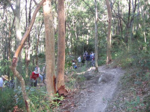 Glenrock trail