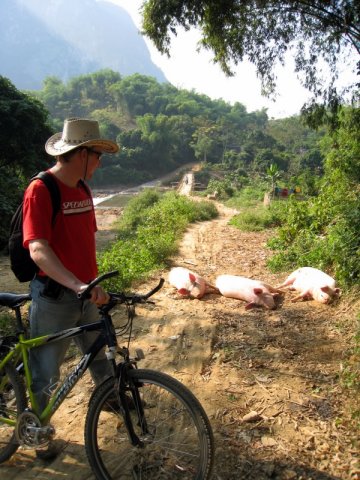 MTB'ing in Northern Vietnam - Roadside tucker?