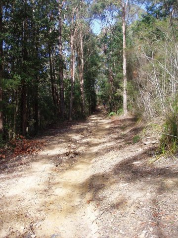 Bucket Fire Trail