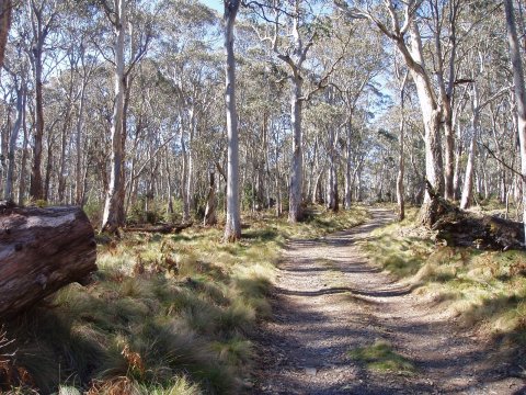 Barrington Trail